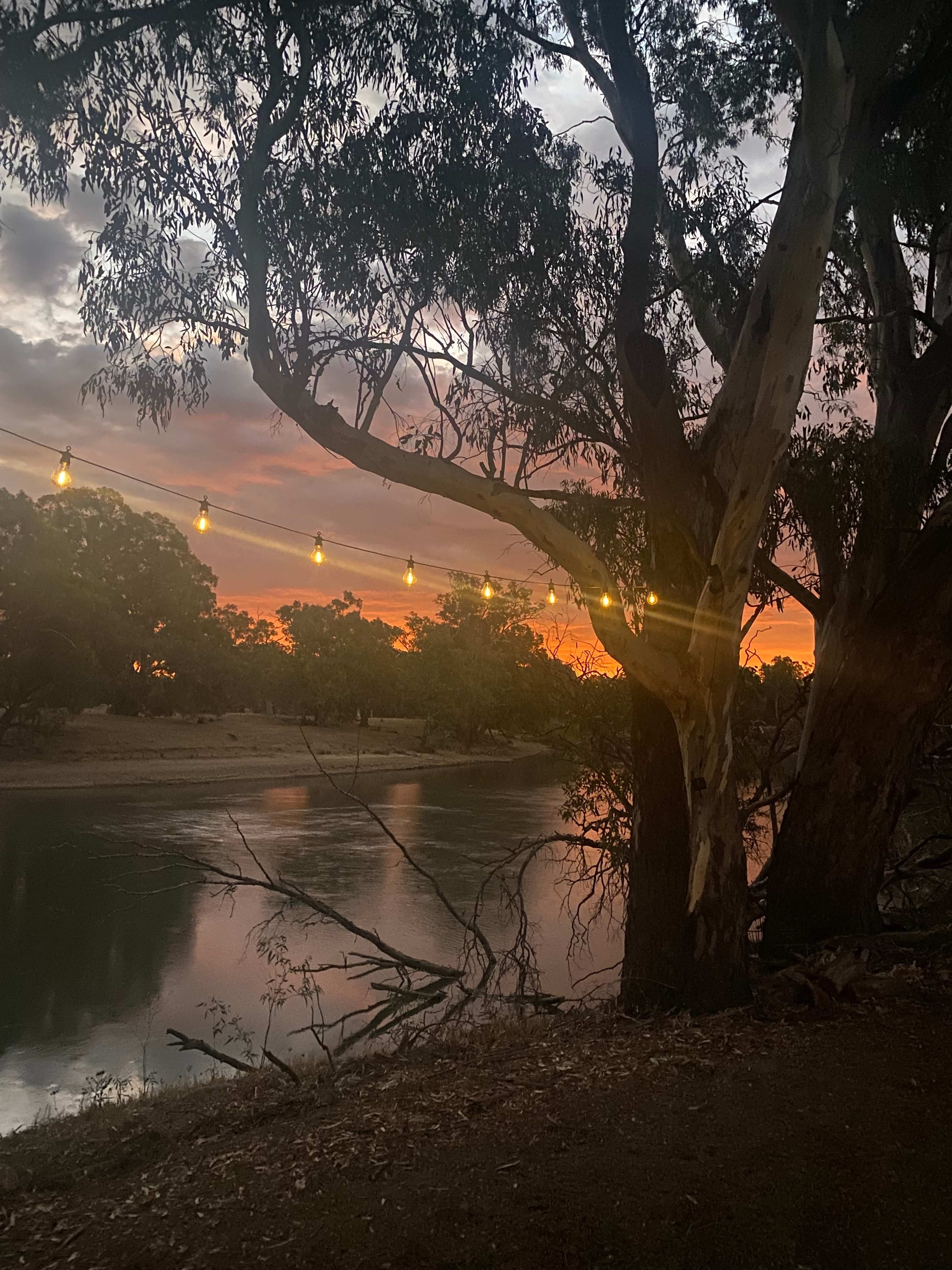 Palm Cove On The Murrumbidgee