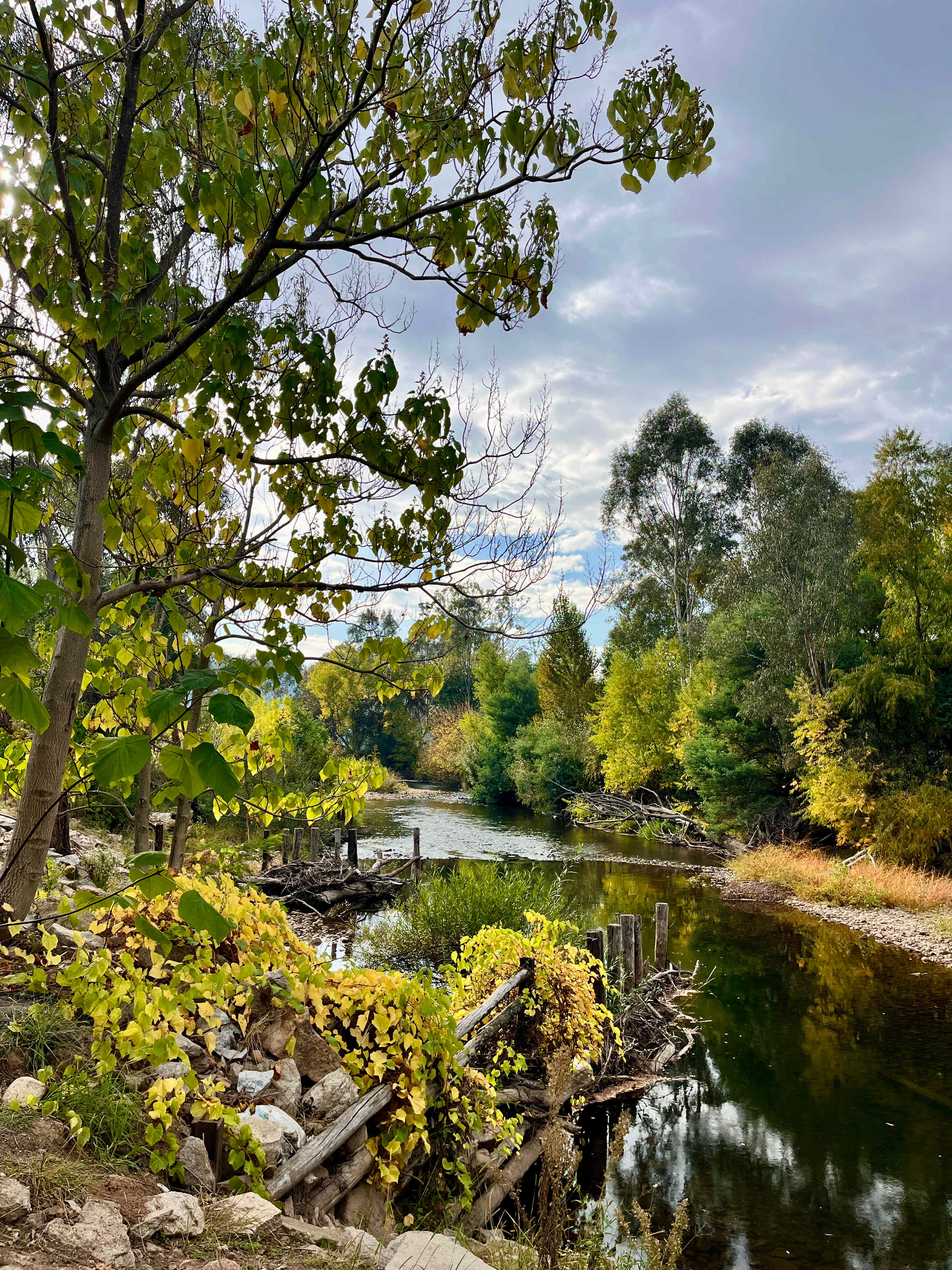 Riverside King Valley