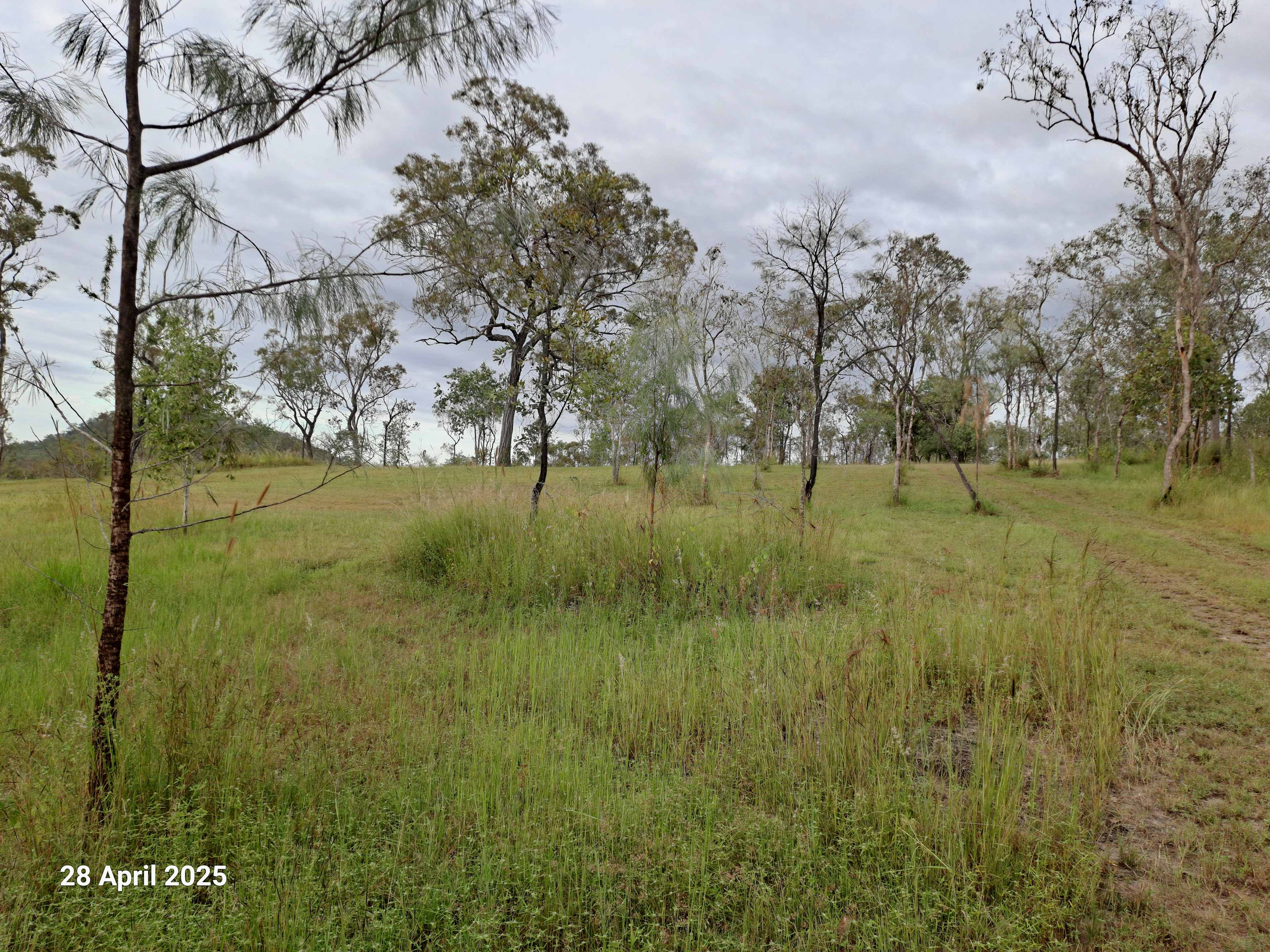 Mareeba Caravan Park