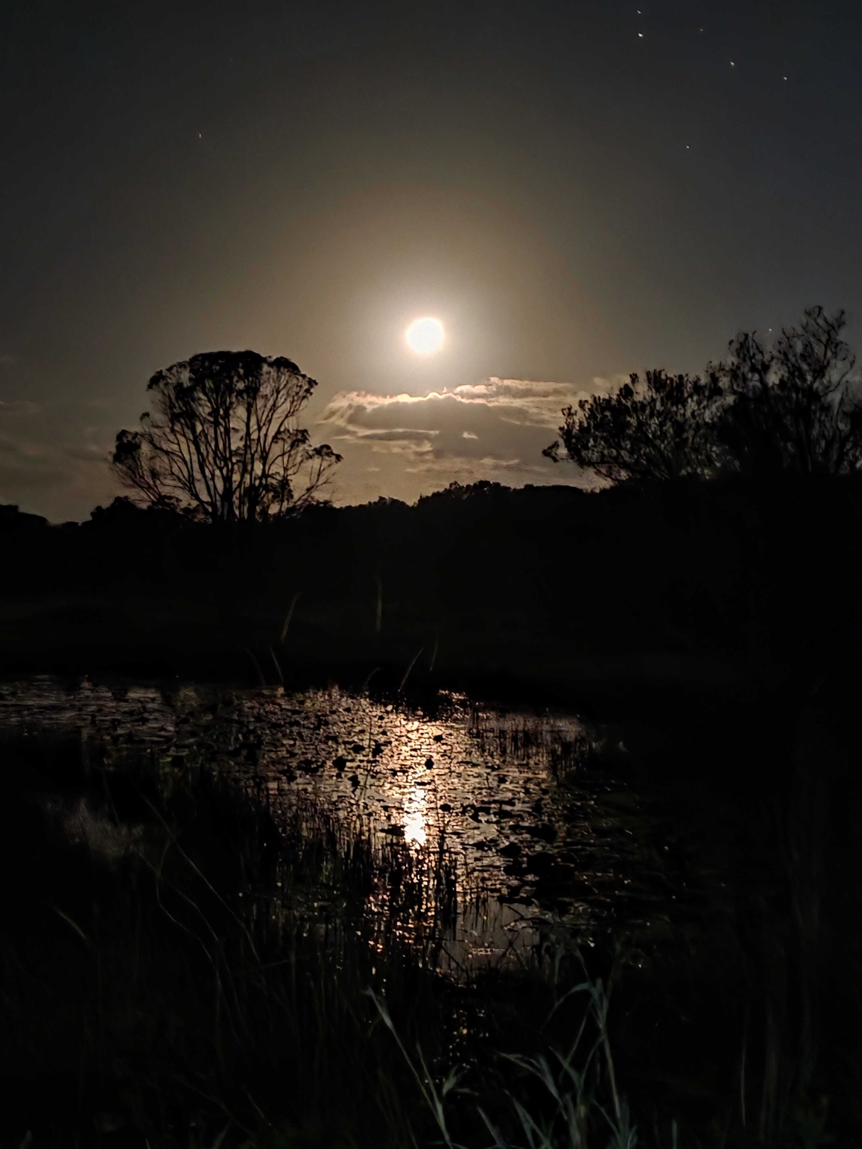 Full moon moments