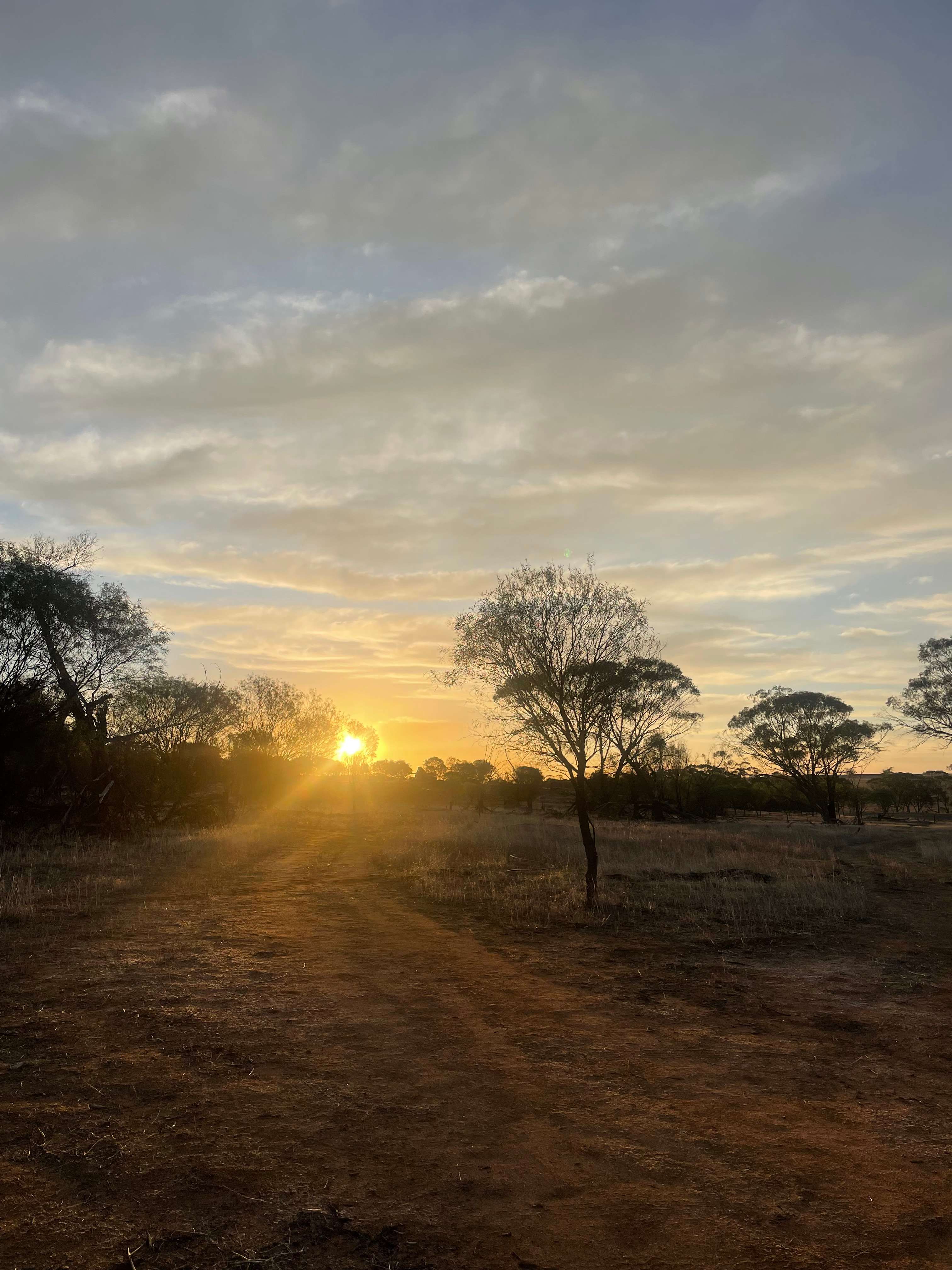 Qualin Farm bush camp