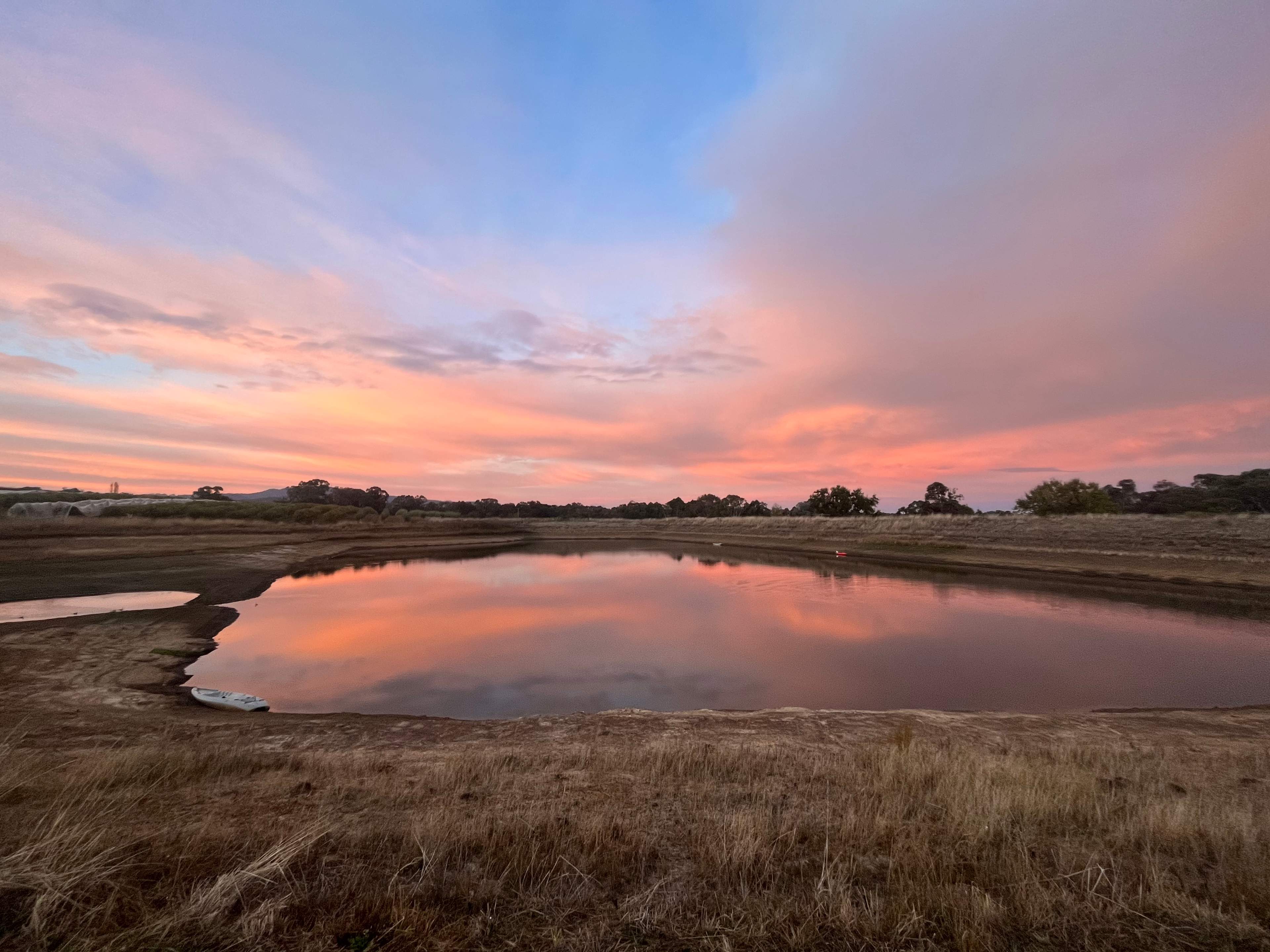 Hillside Harvest Orchard