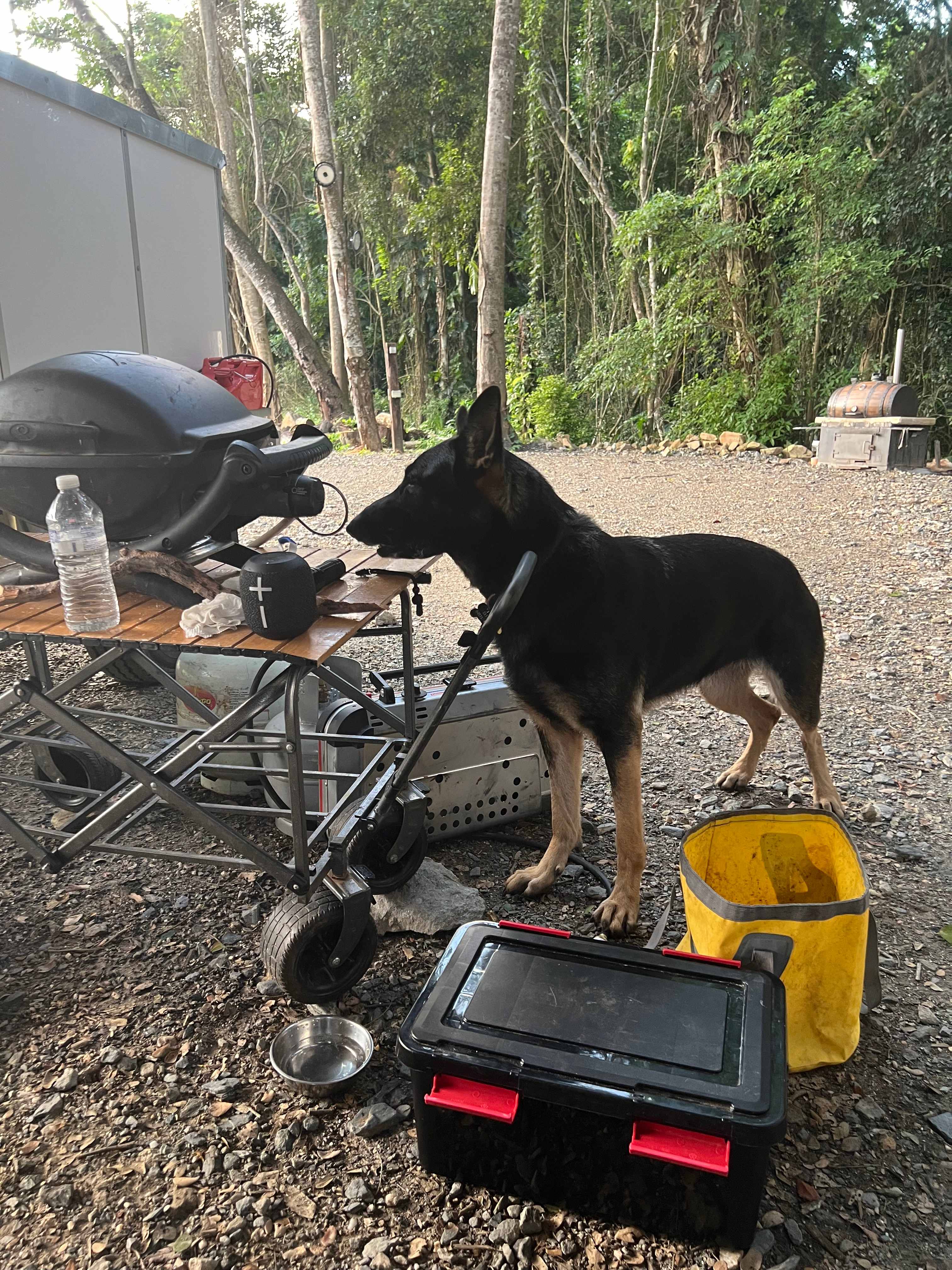 Mowbray Valley Homestead