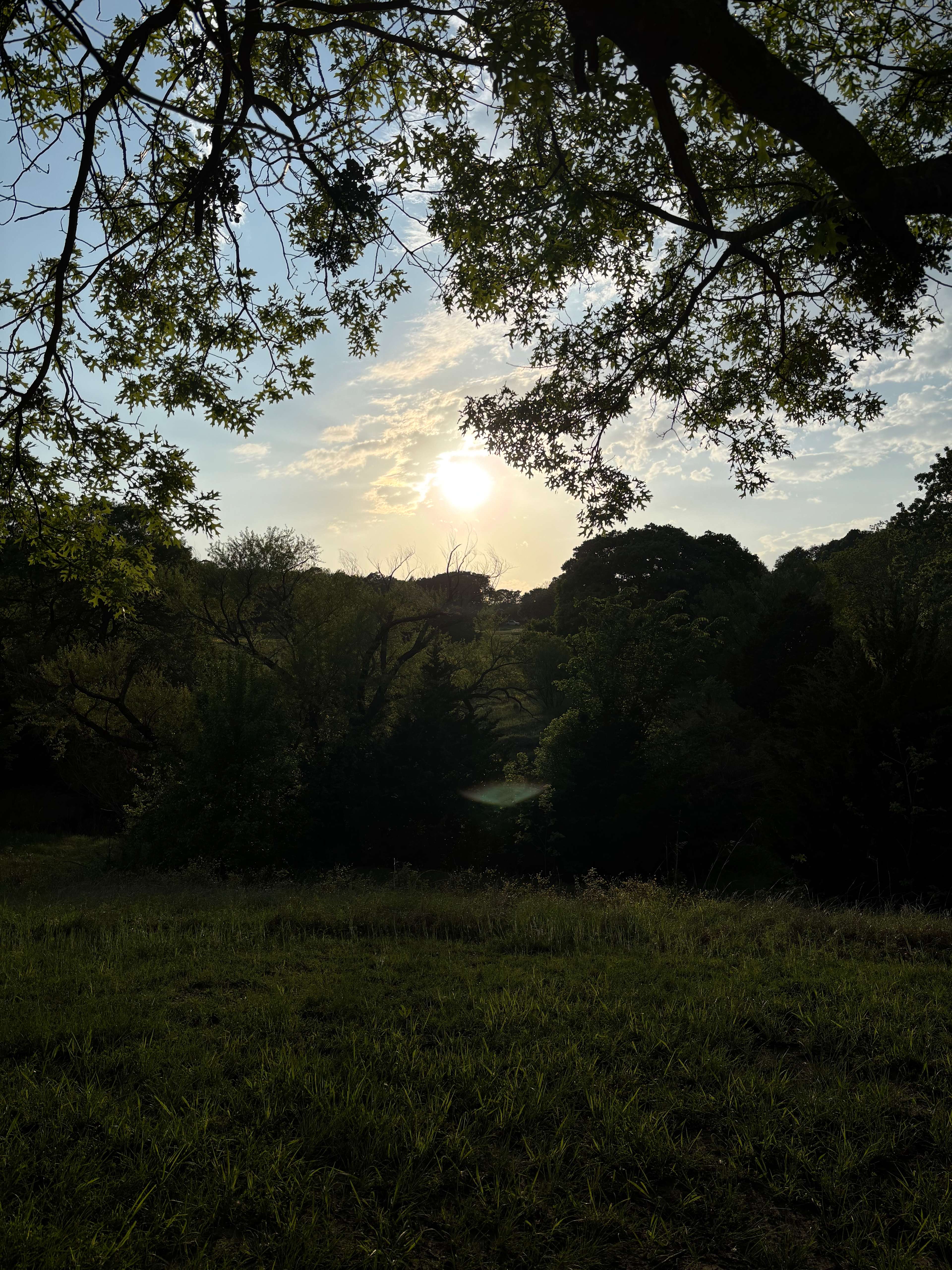 4R Ranch Winery Campsite