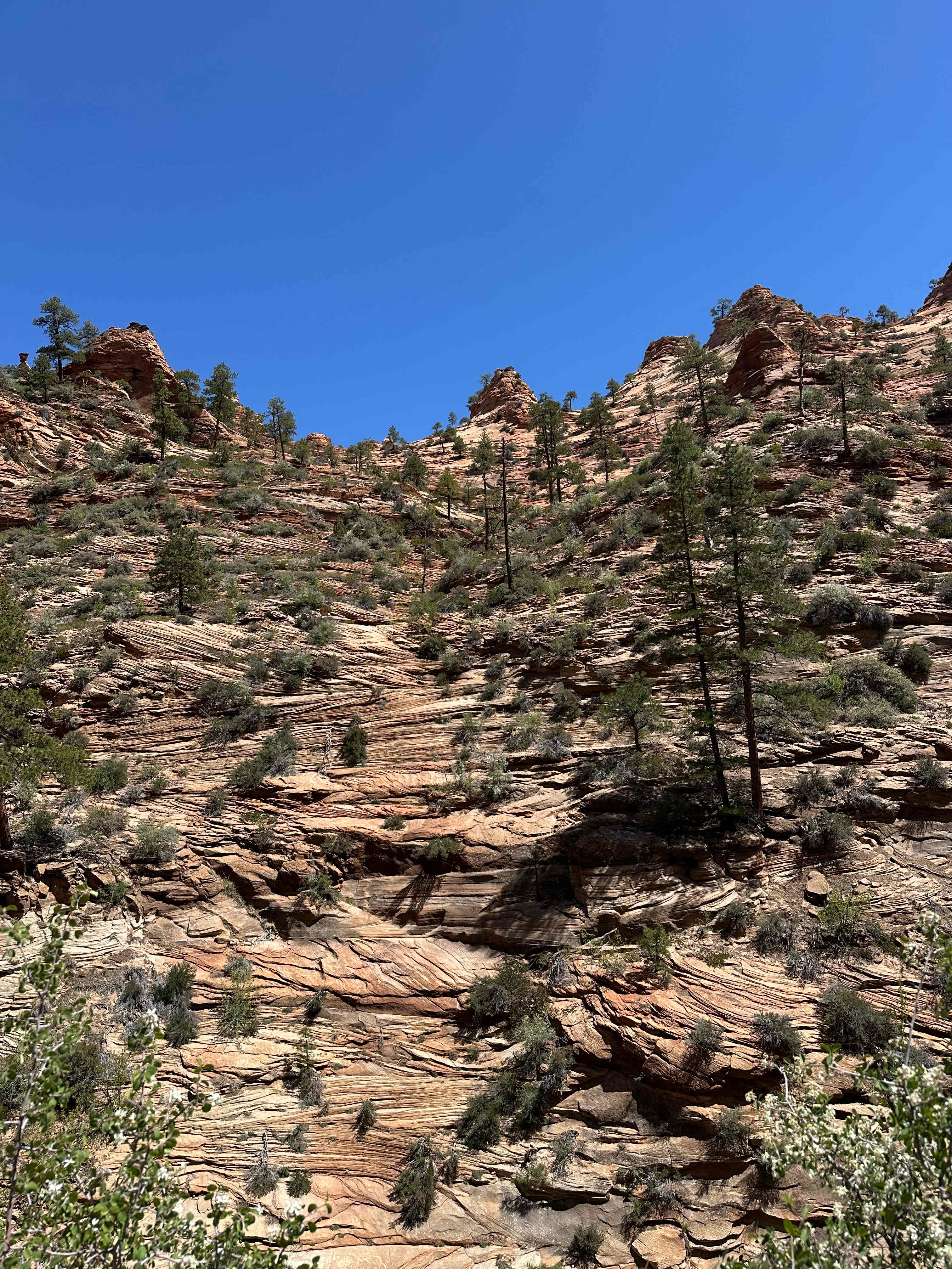 Water Canyon Hike to White Dome! 