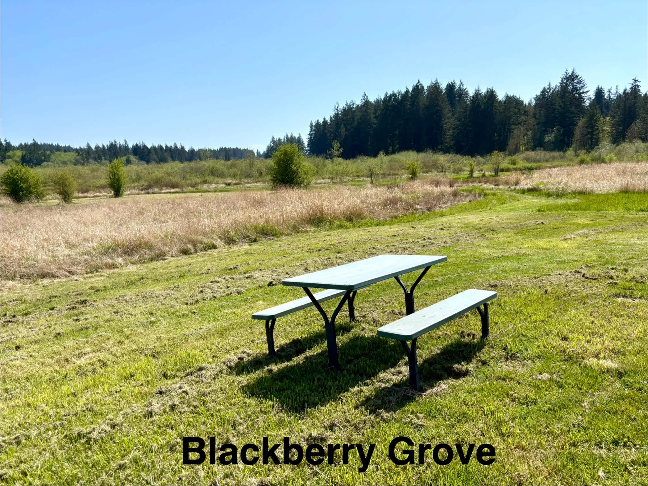 Summit Farms: Peaceful & Enjoyable