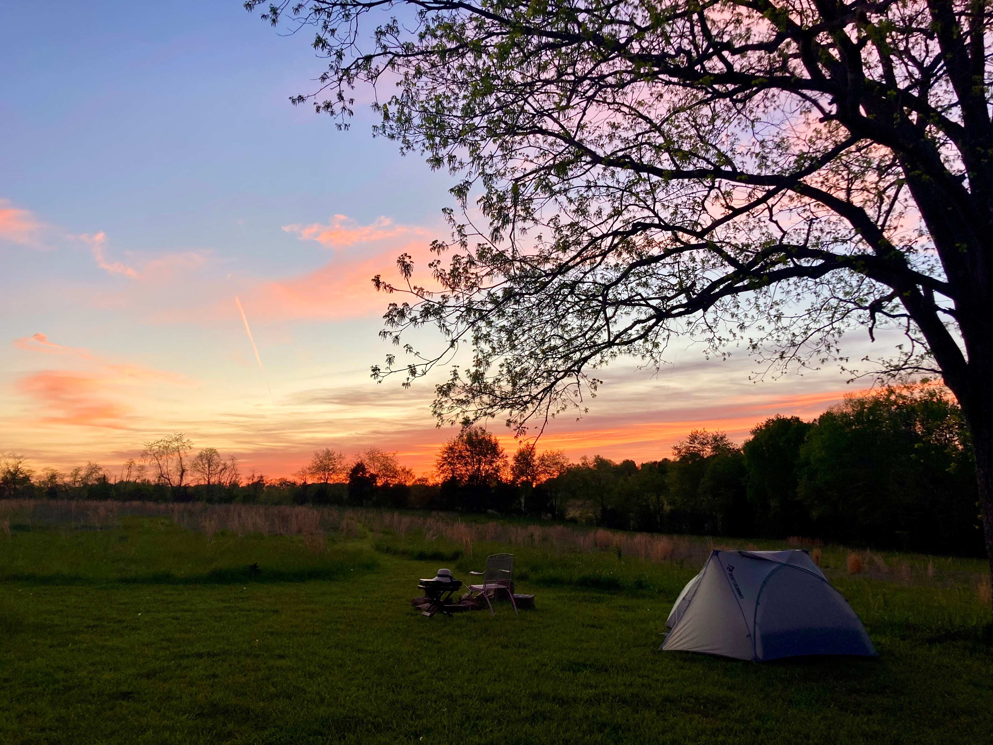 Site- Under the hickory tree