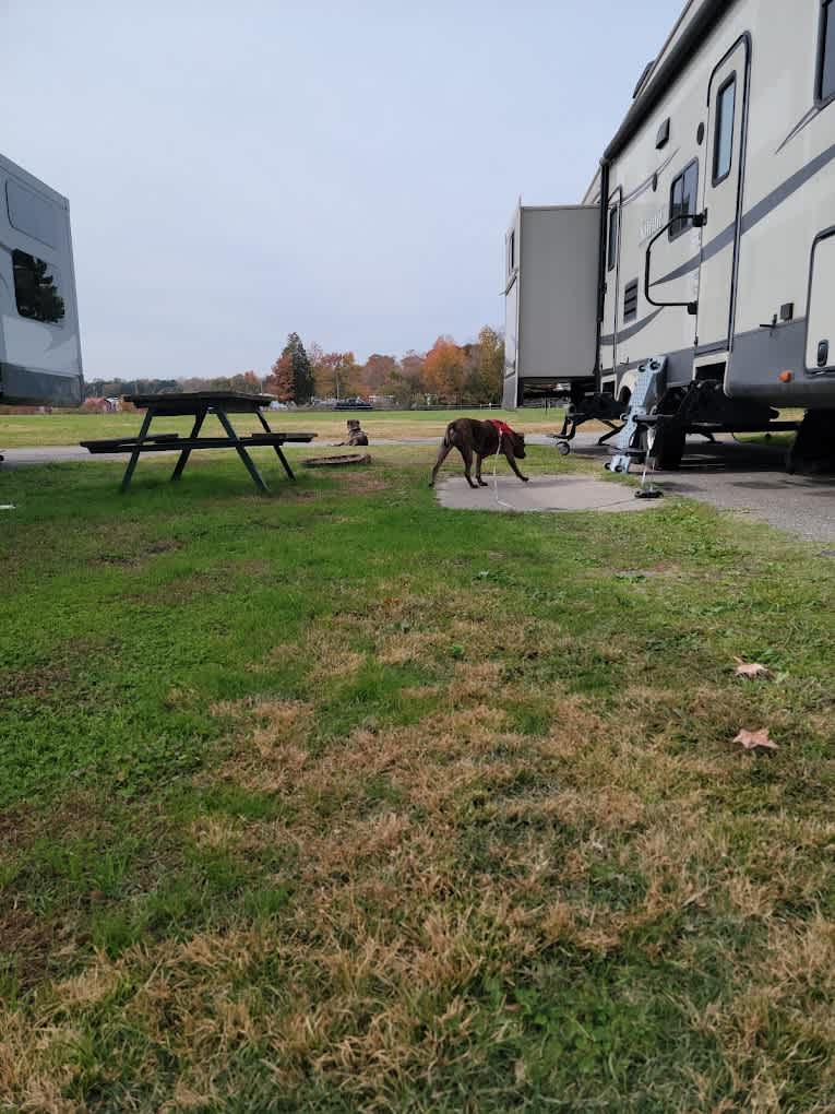 Chesapeake Campground