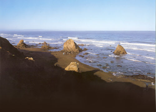 Ancient Redwoods RV Park