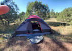 Show Low Lake Campground