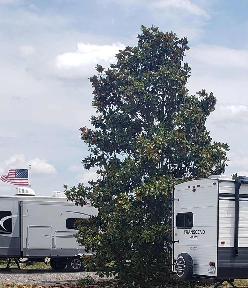 The Magnolia Campground and Store