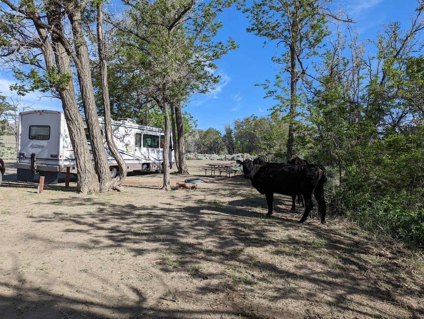 Tinnemaha Campground