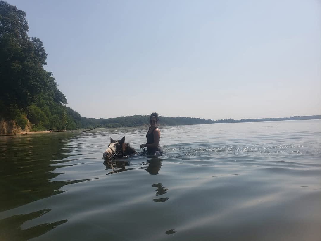 Swimming the horses 