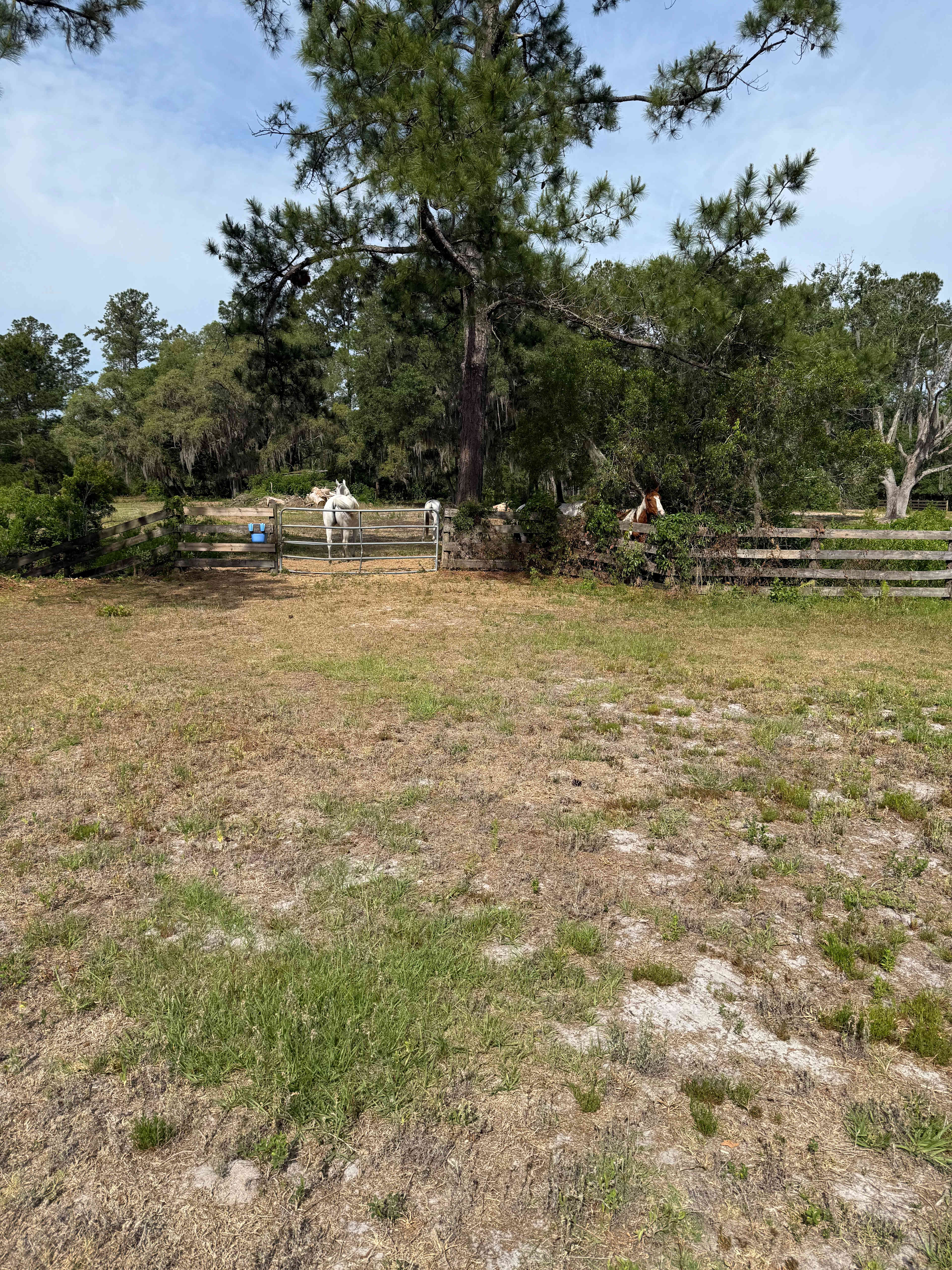 The Griffin Ranch 