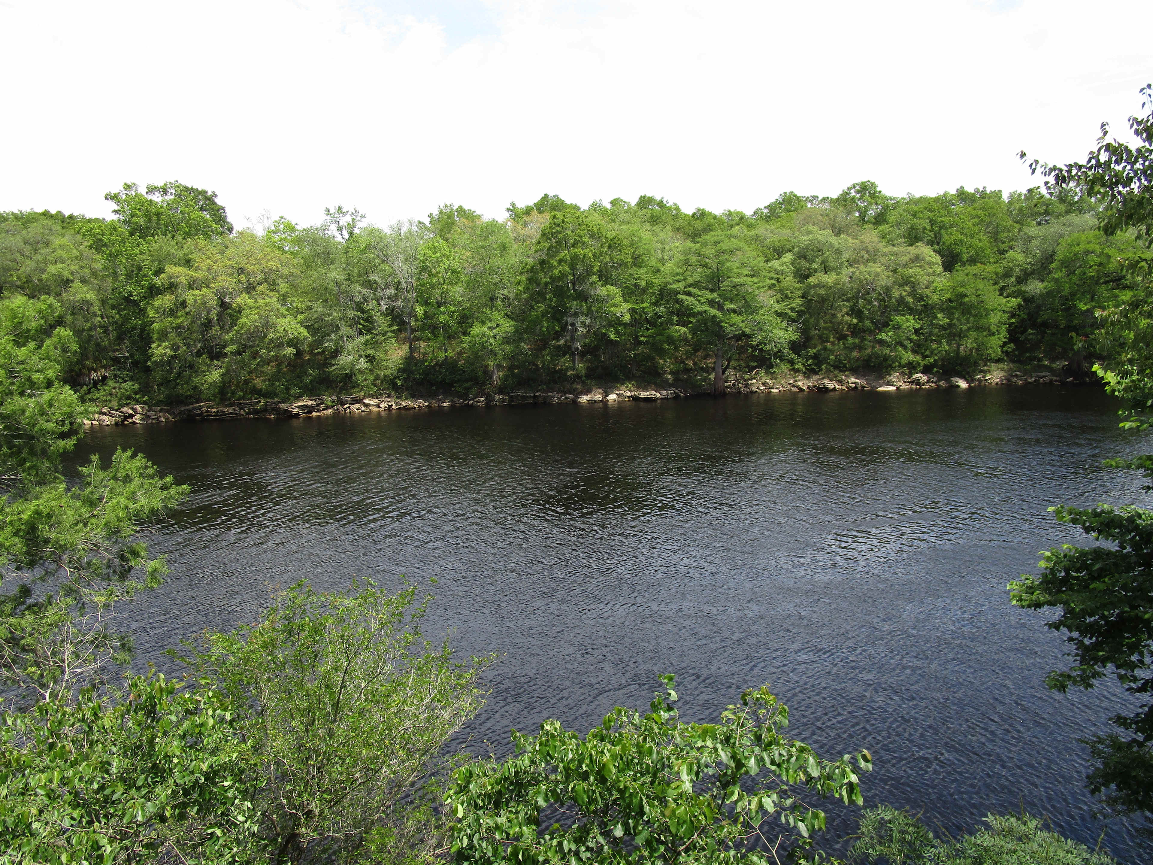 Suwannee River Rendezvous