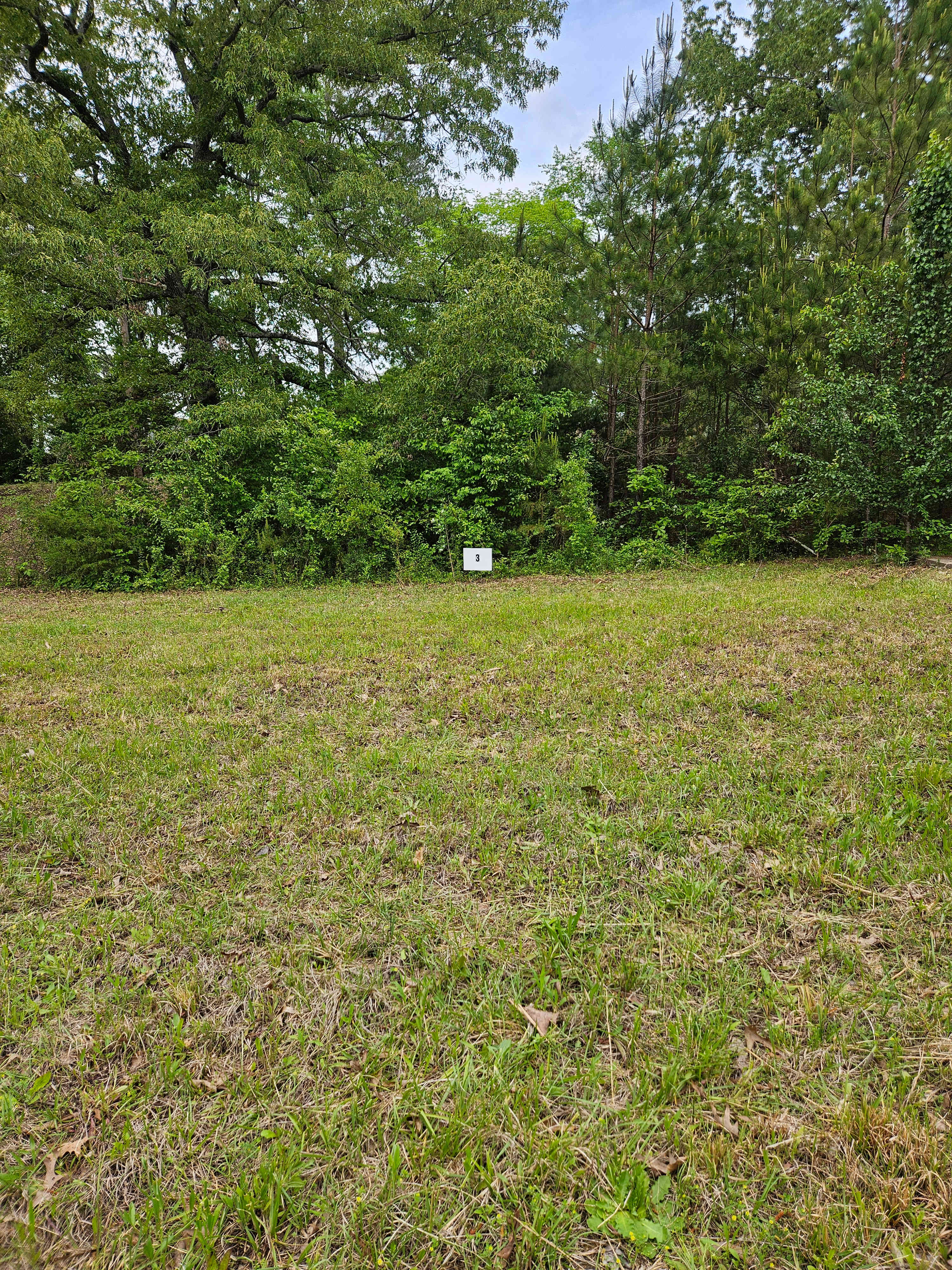 D' Campsite