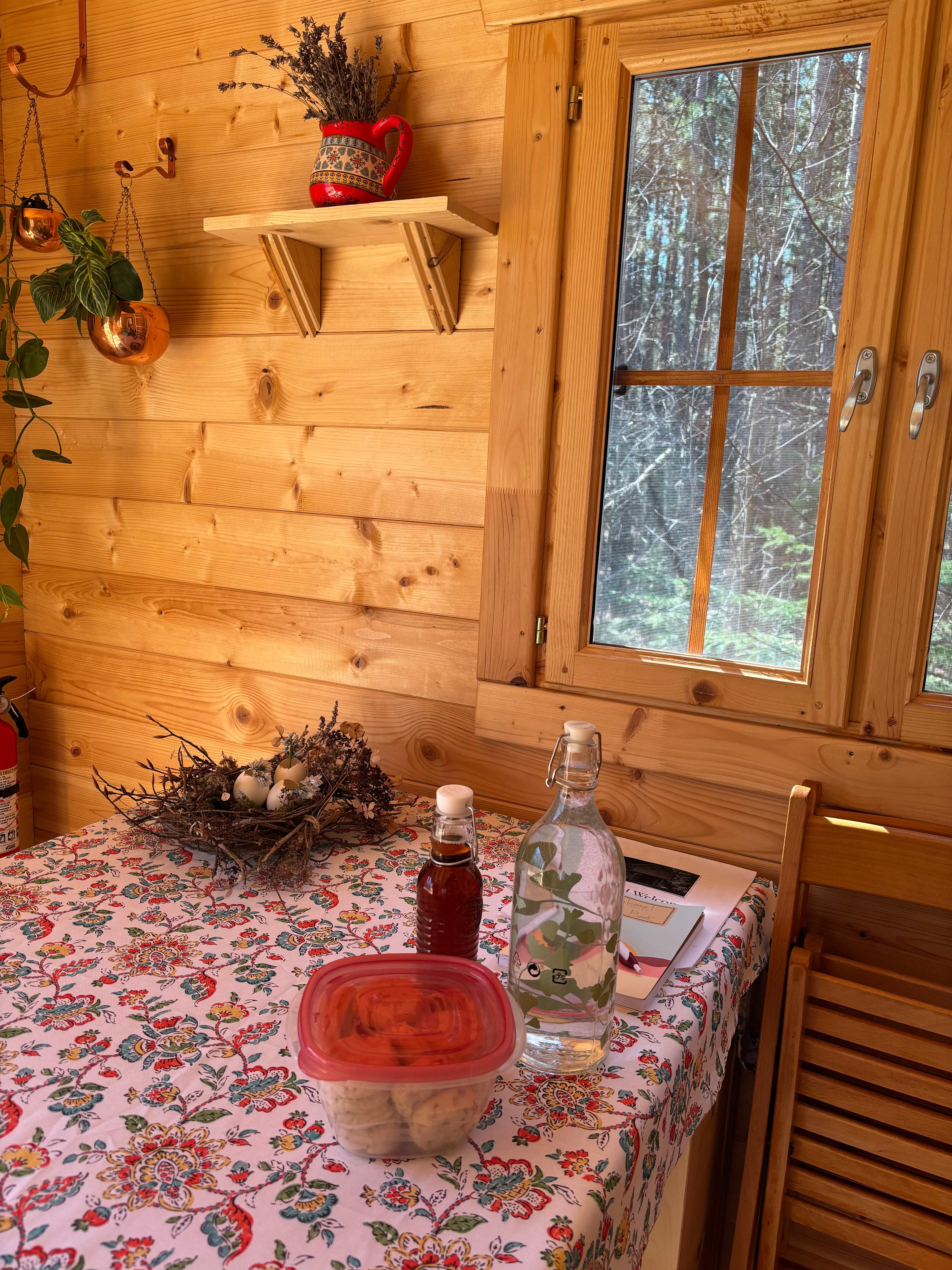 Forest Bunkie on Bruce Trail