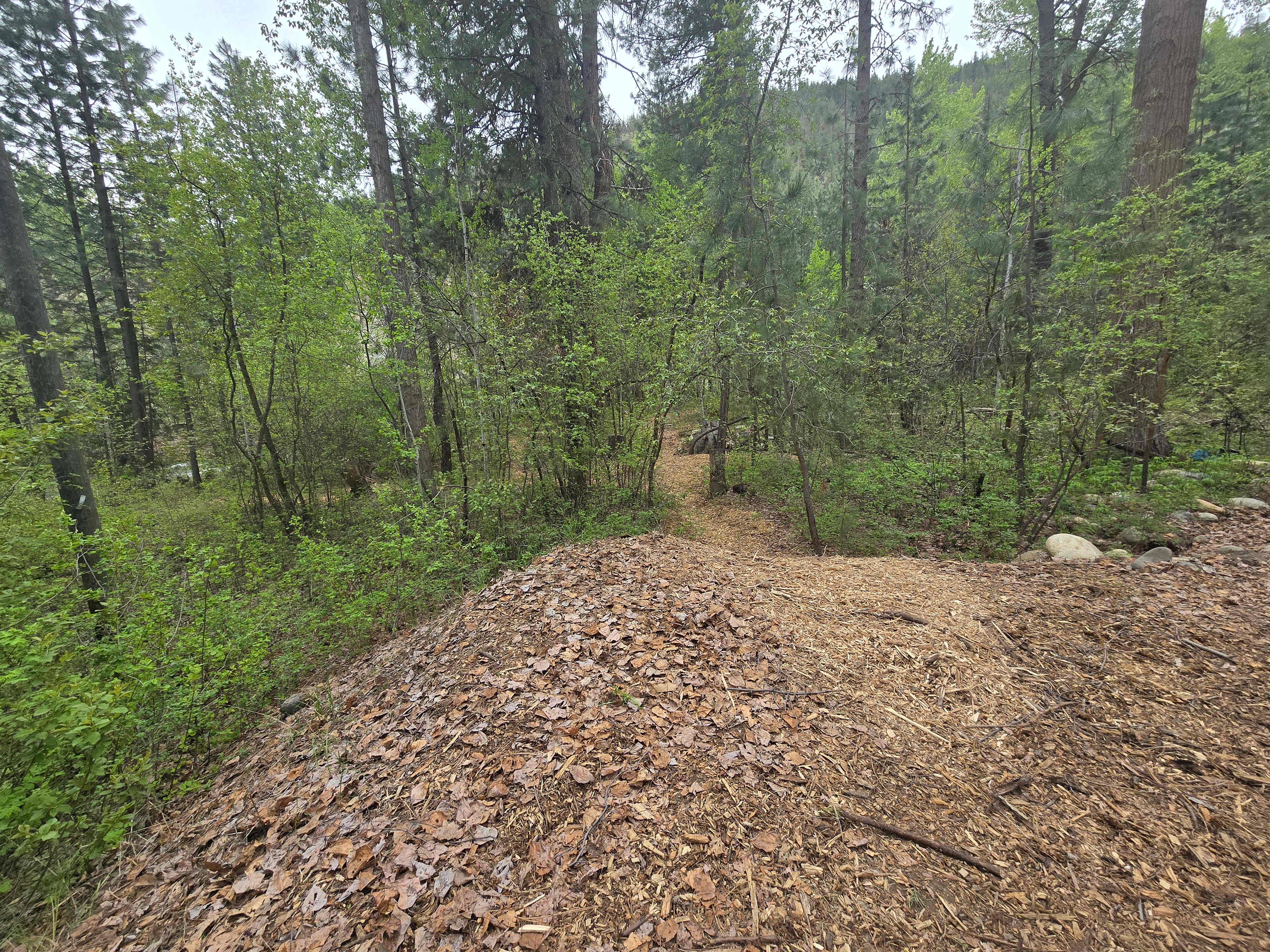 Entrance from driveway