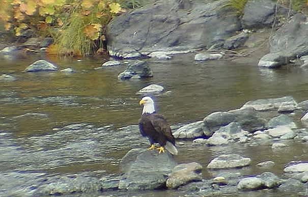 Grovers' Gulch RV Park and Campground