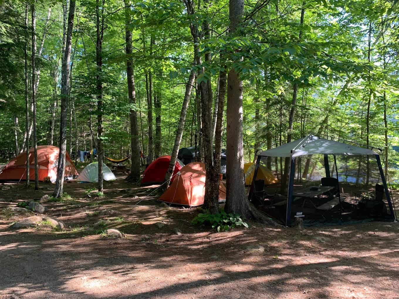 Gorgeous Camping Yurt Rental with Stargazing Skylight in Wisconsin