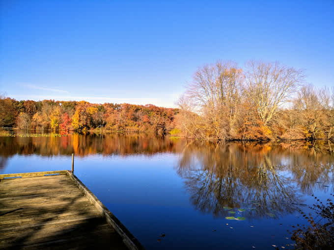 Turkey Swamp Park