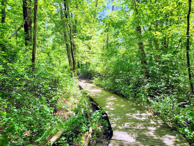 Turkey Swamp Park