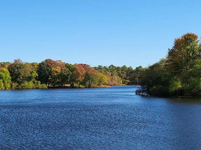 Turkey Swamp Park