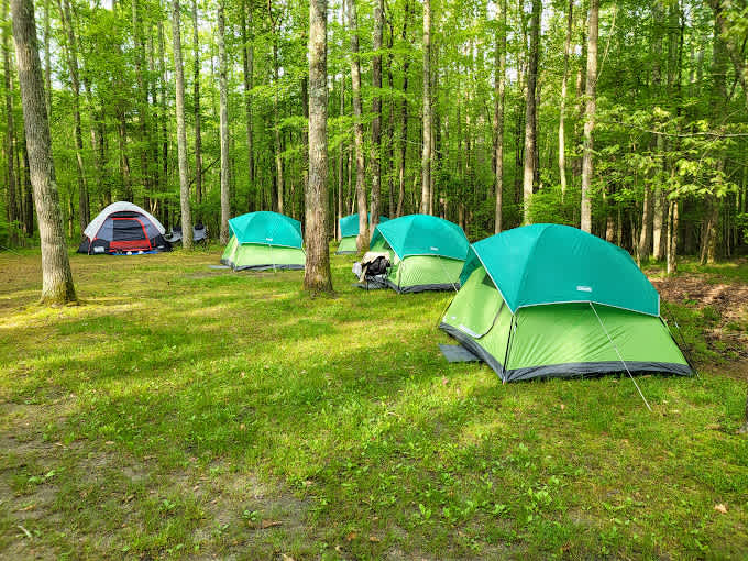 Turkey Swamp Park