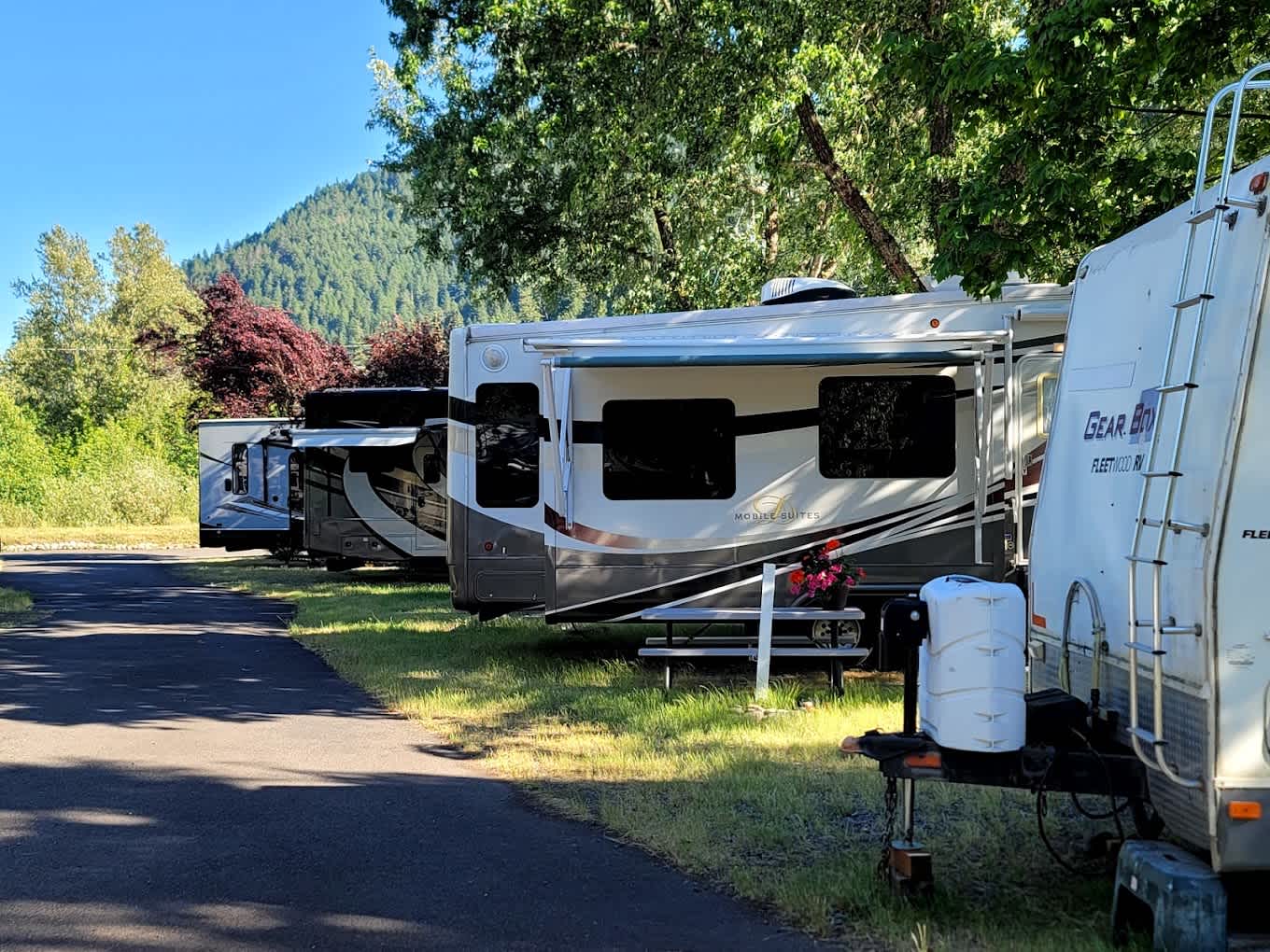 Arbor Inn Motel & Oakridge RV Park