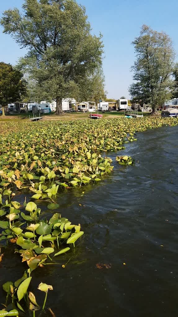 Lakeview Campground