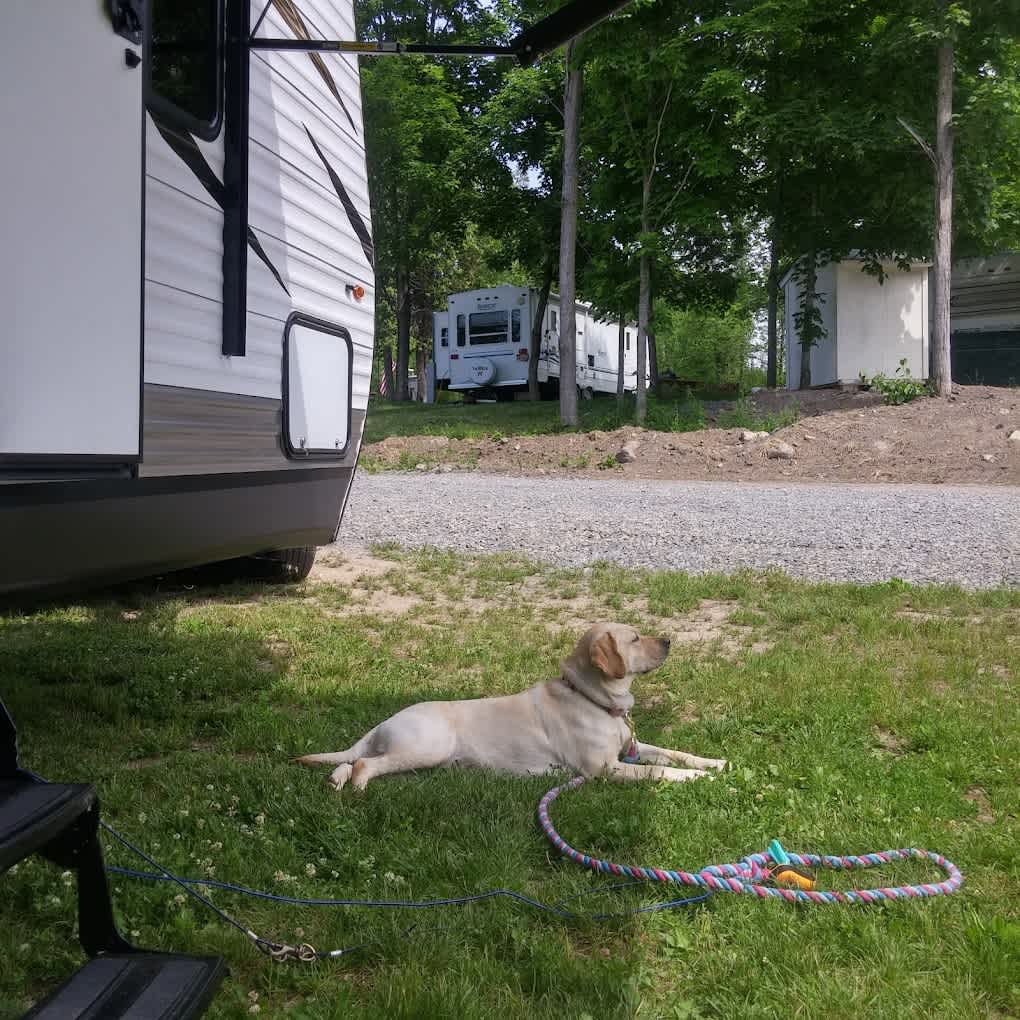 Chaumont River RV Park & Campground