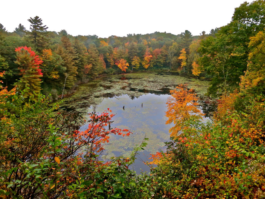 White Memorial Family Campground