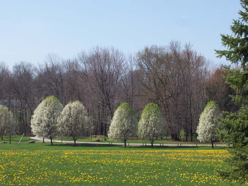Chaparral Family Campground