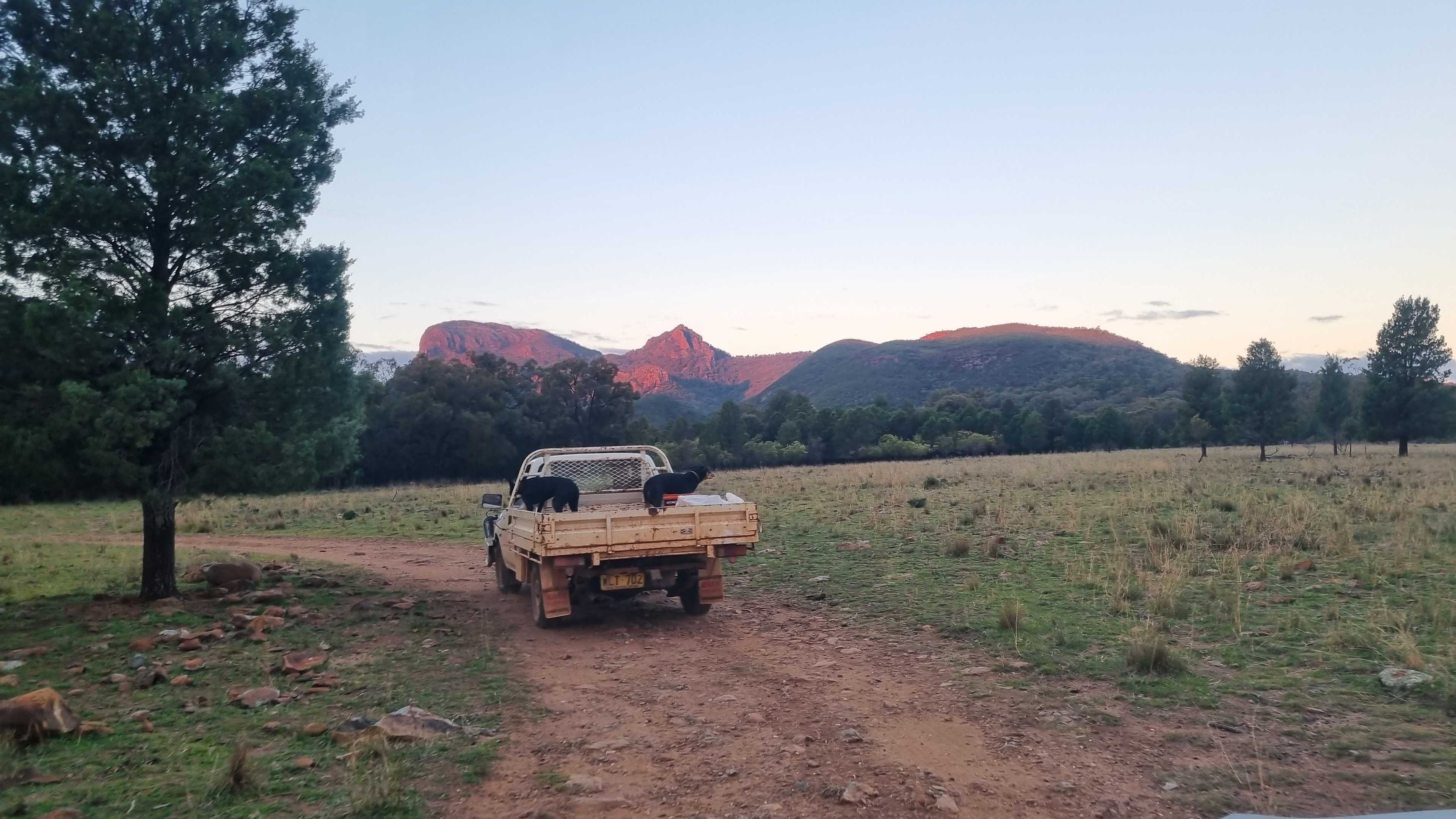 Mount Terrace