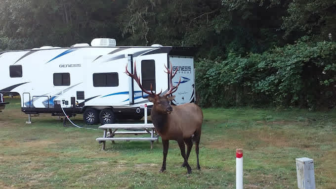 Elk Country RV Resort & Campground