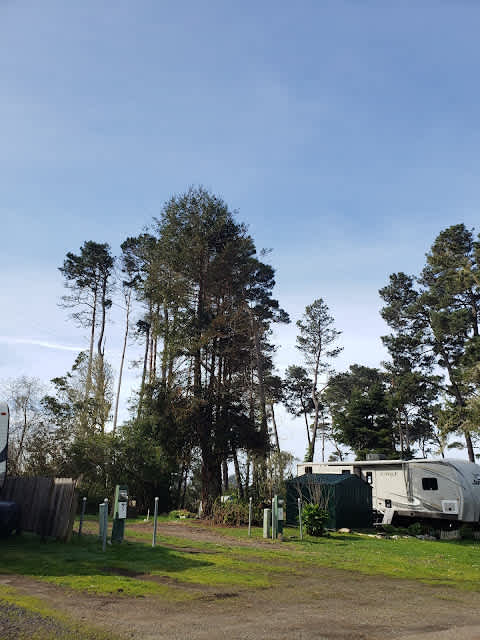 Hidden Pines RV Park Campground