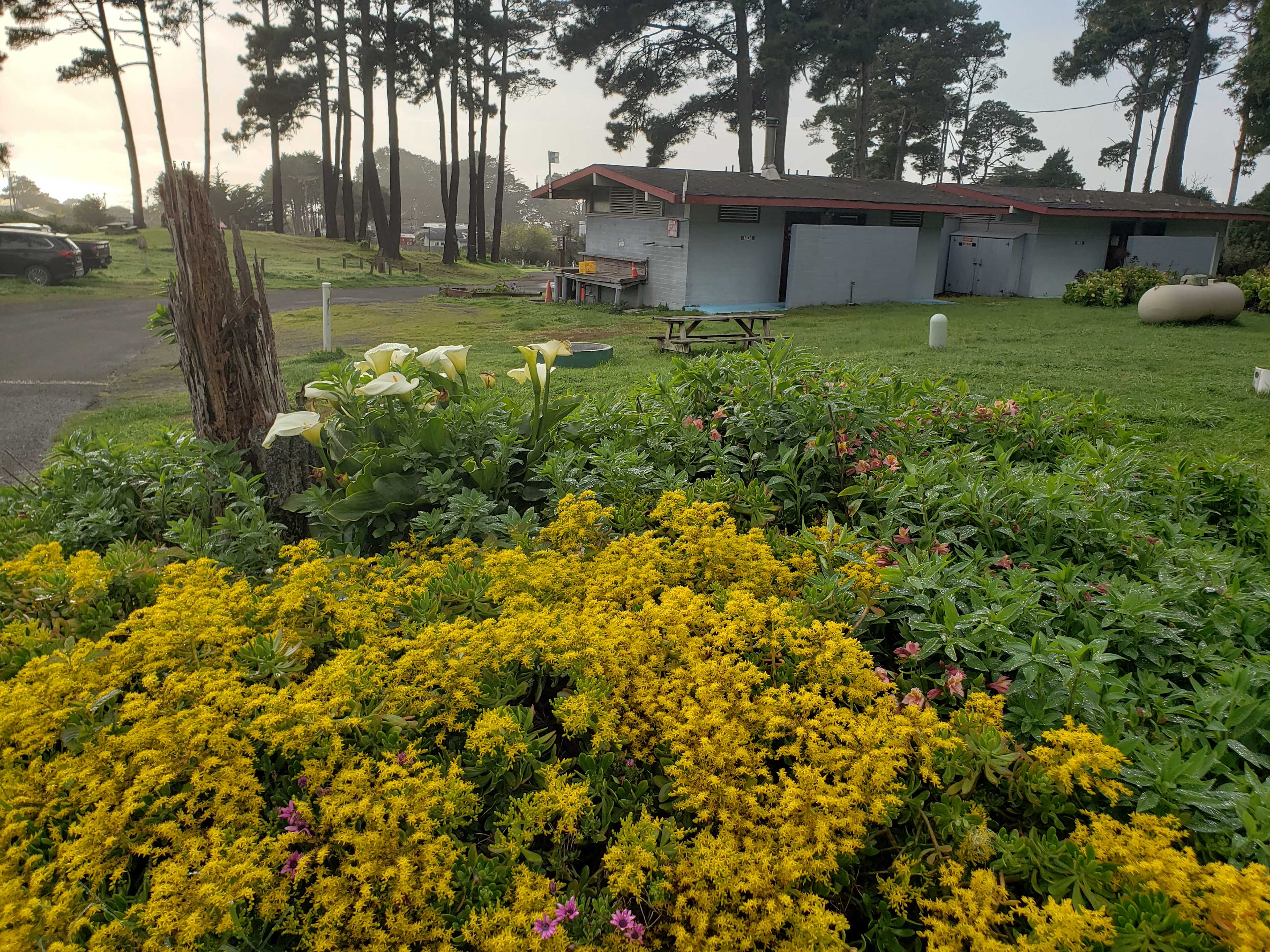 Hidden Pines RV Park Campground