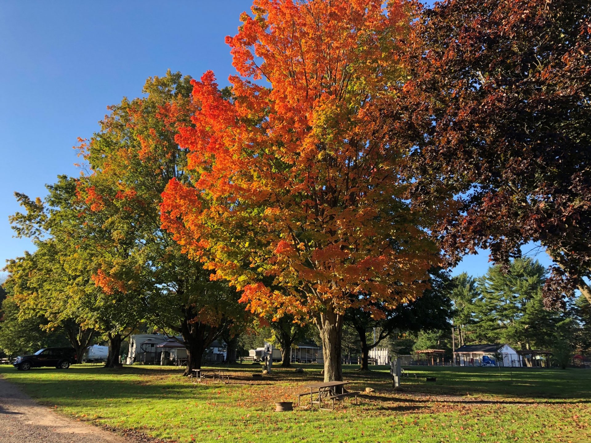 Wolf's Den Family Campground