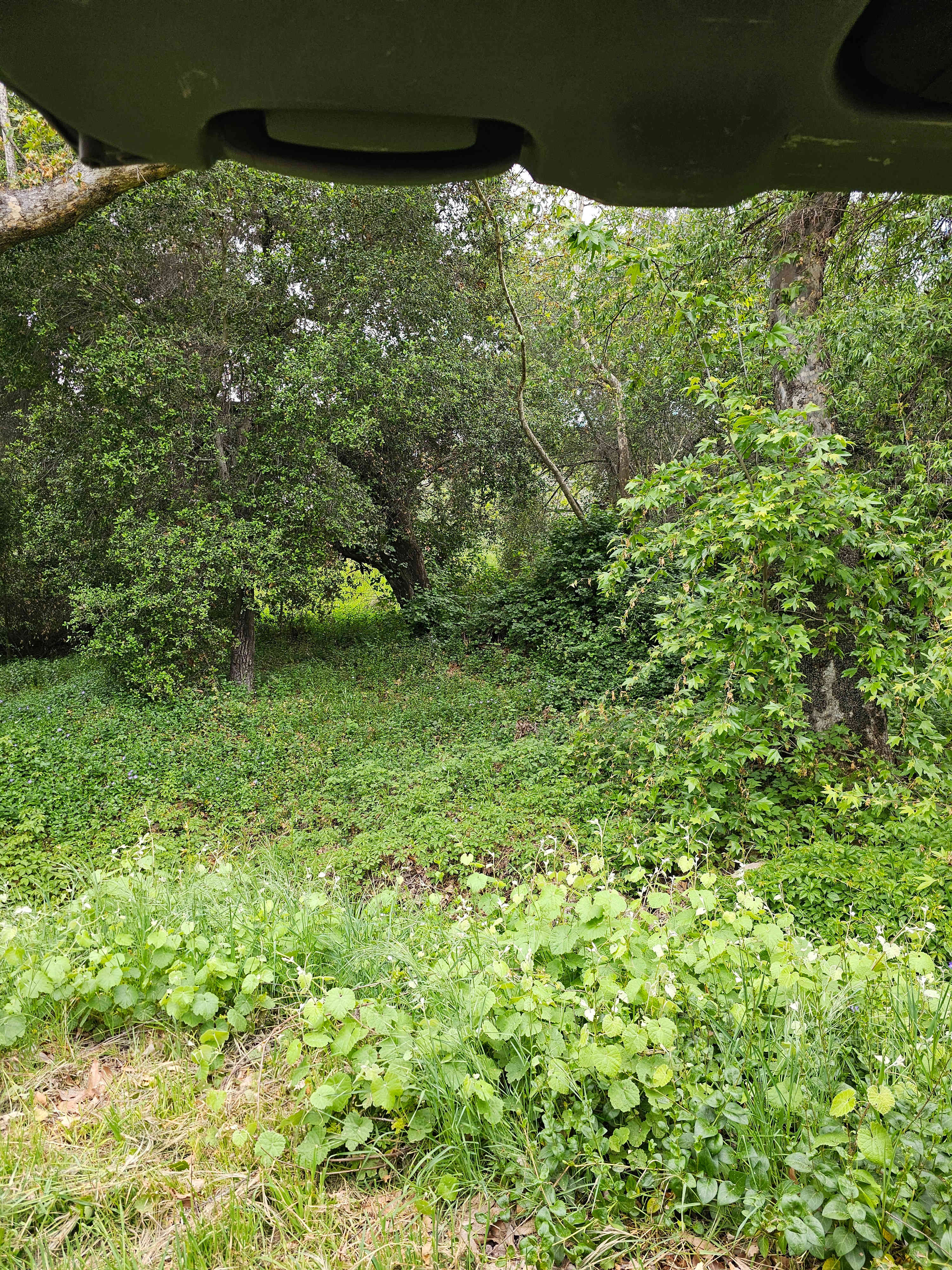 San Diego Canyon Creek