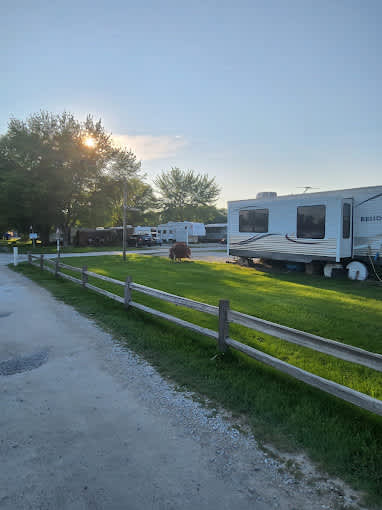 Wild Wings Campground & Marina
