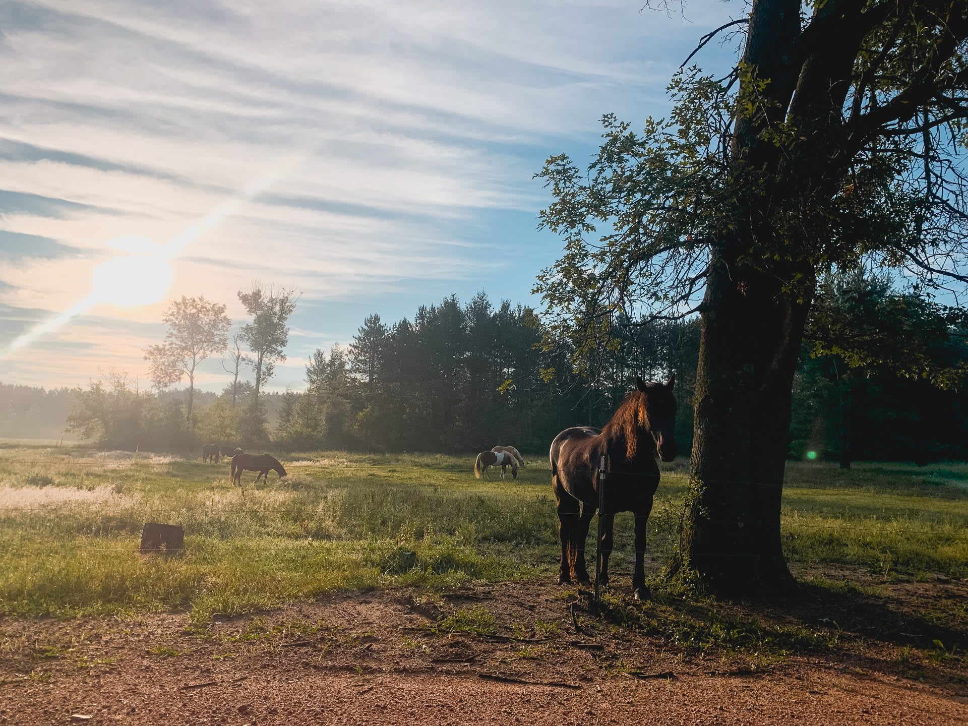 Wild West Campground and Corral