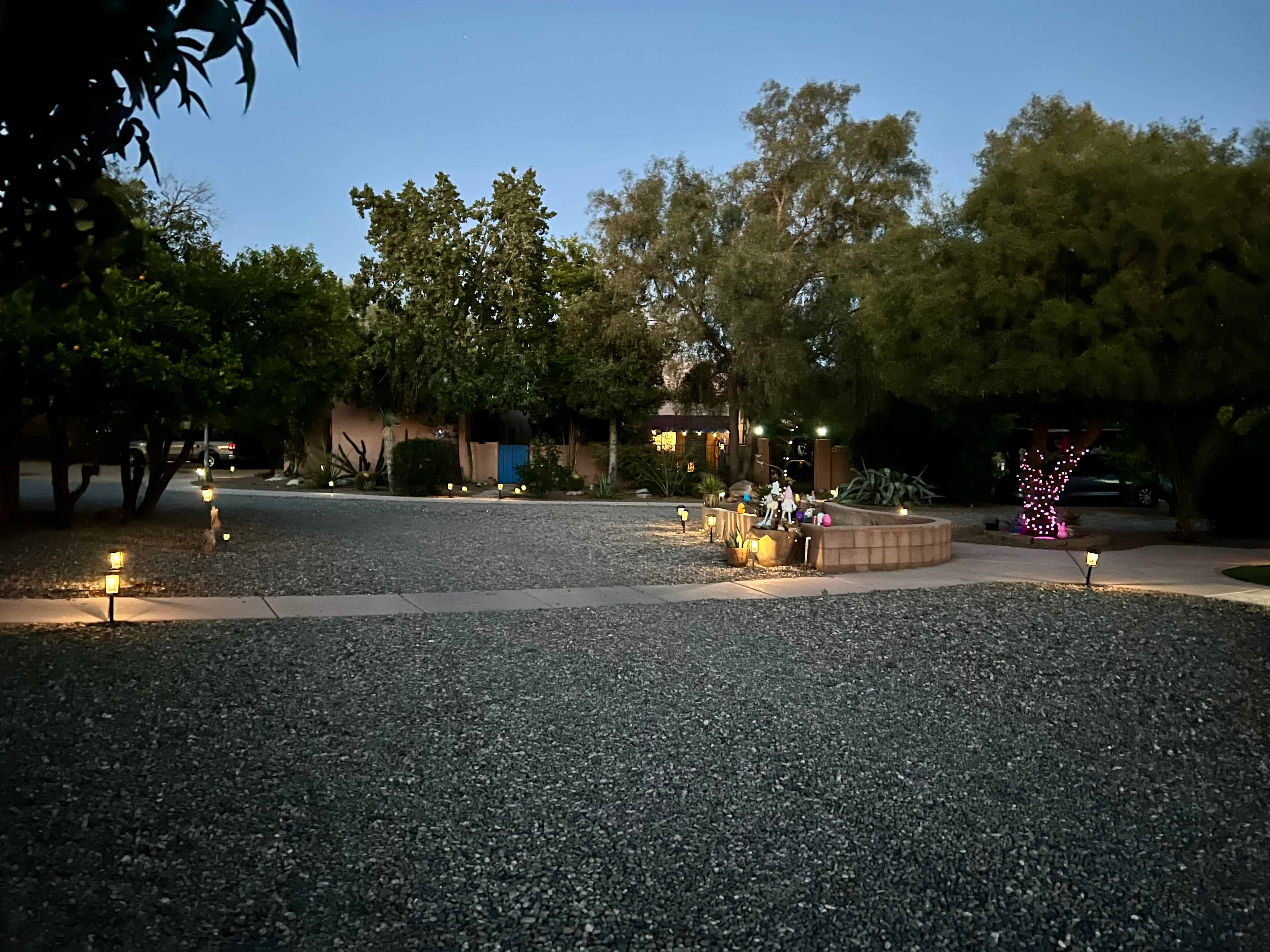 Picture of the site