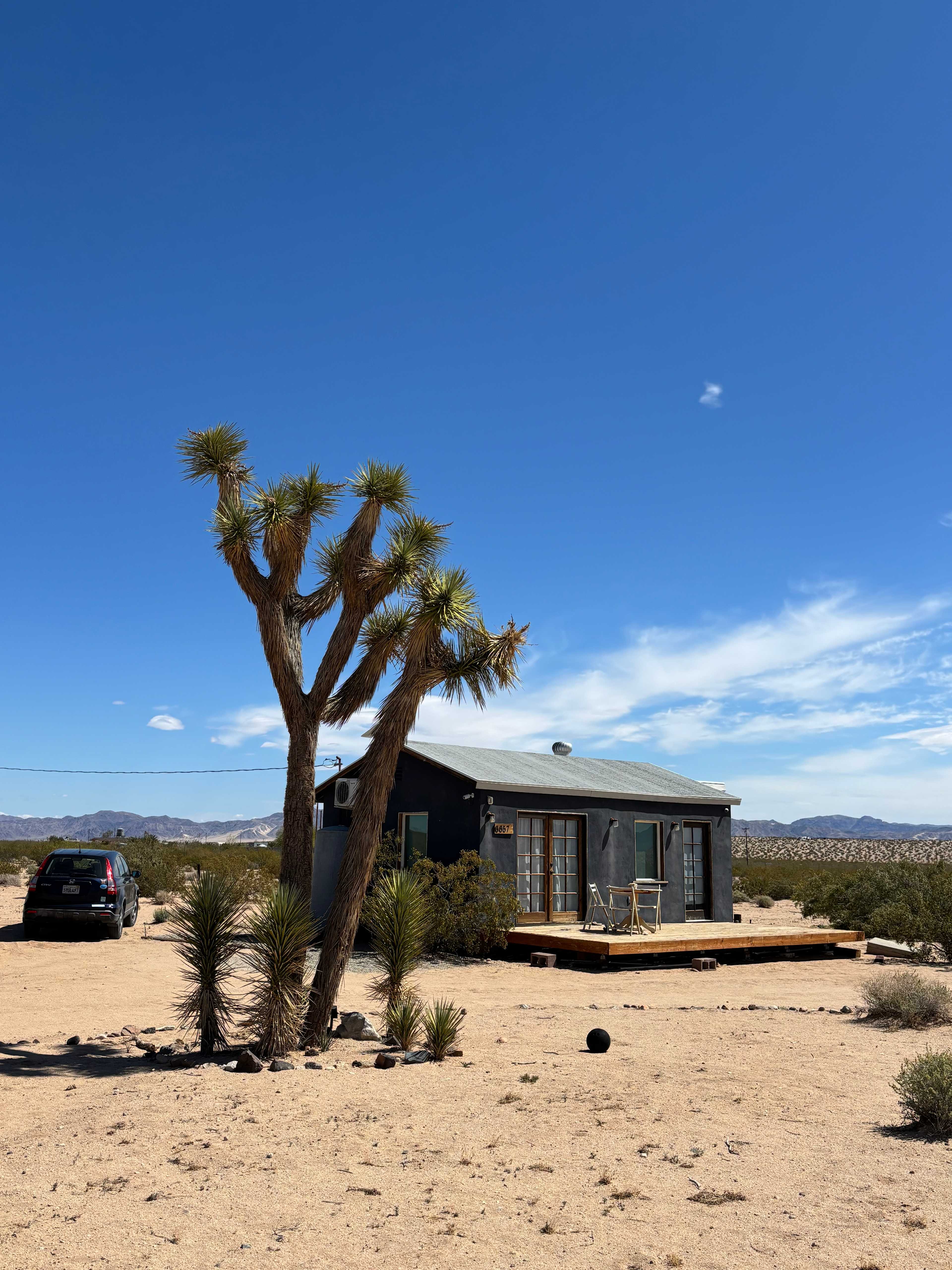 Cozy Retreat in Joshua Tree