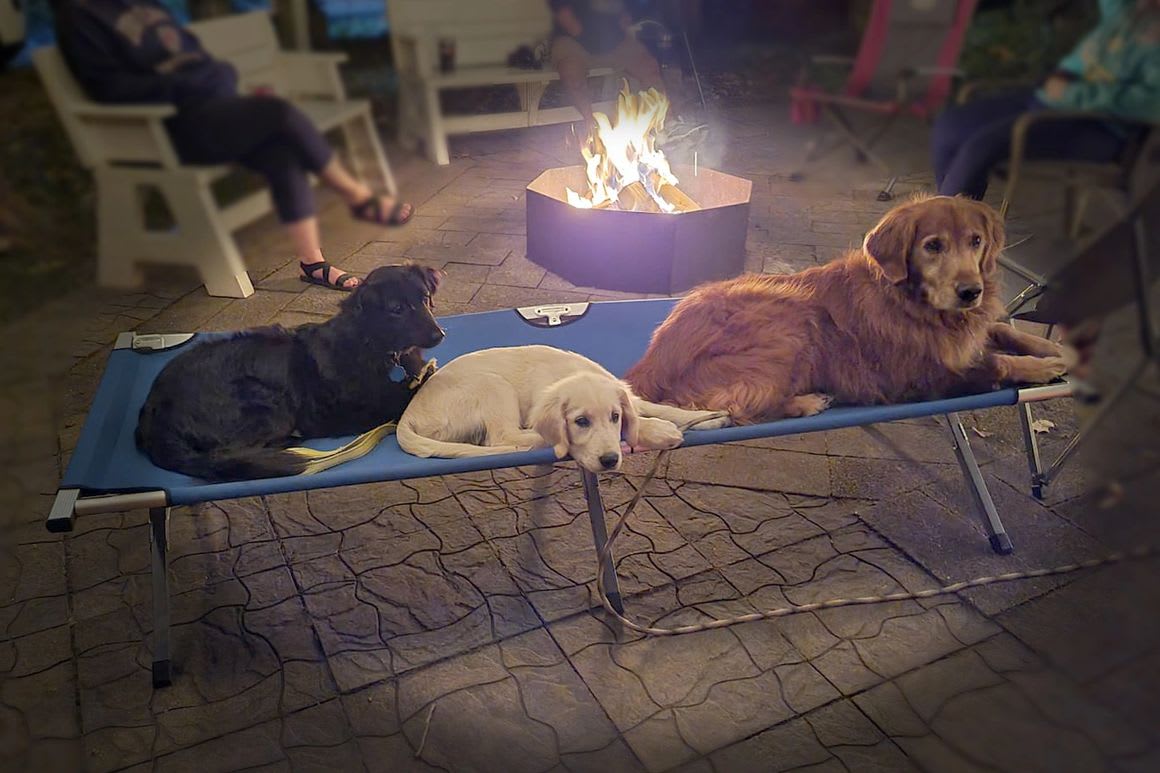 Duck Creek Campground & Du Duck Inn Grill and Bar