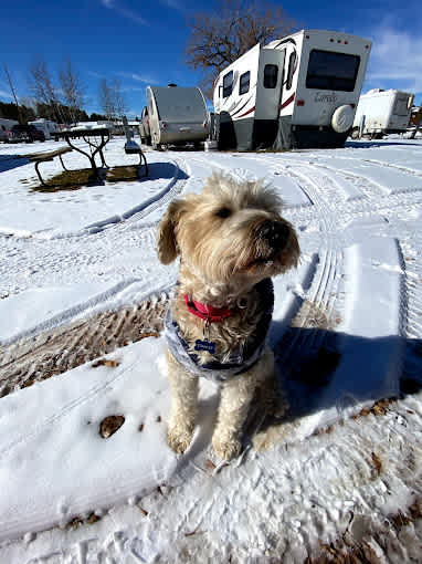 French Creek RV Park-Campground