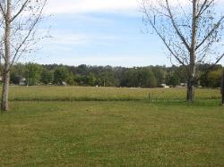Milleson's Walnut Grove