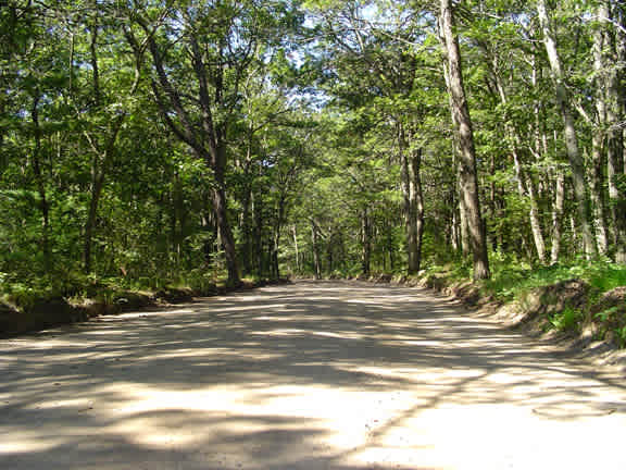 Sweetwater Forest Cape Cod Family Campground