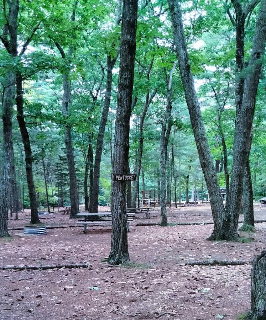 Lone Tree Reservation; Rustic Summer Camp