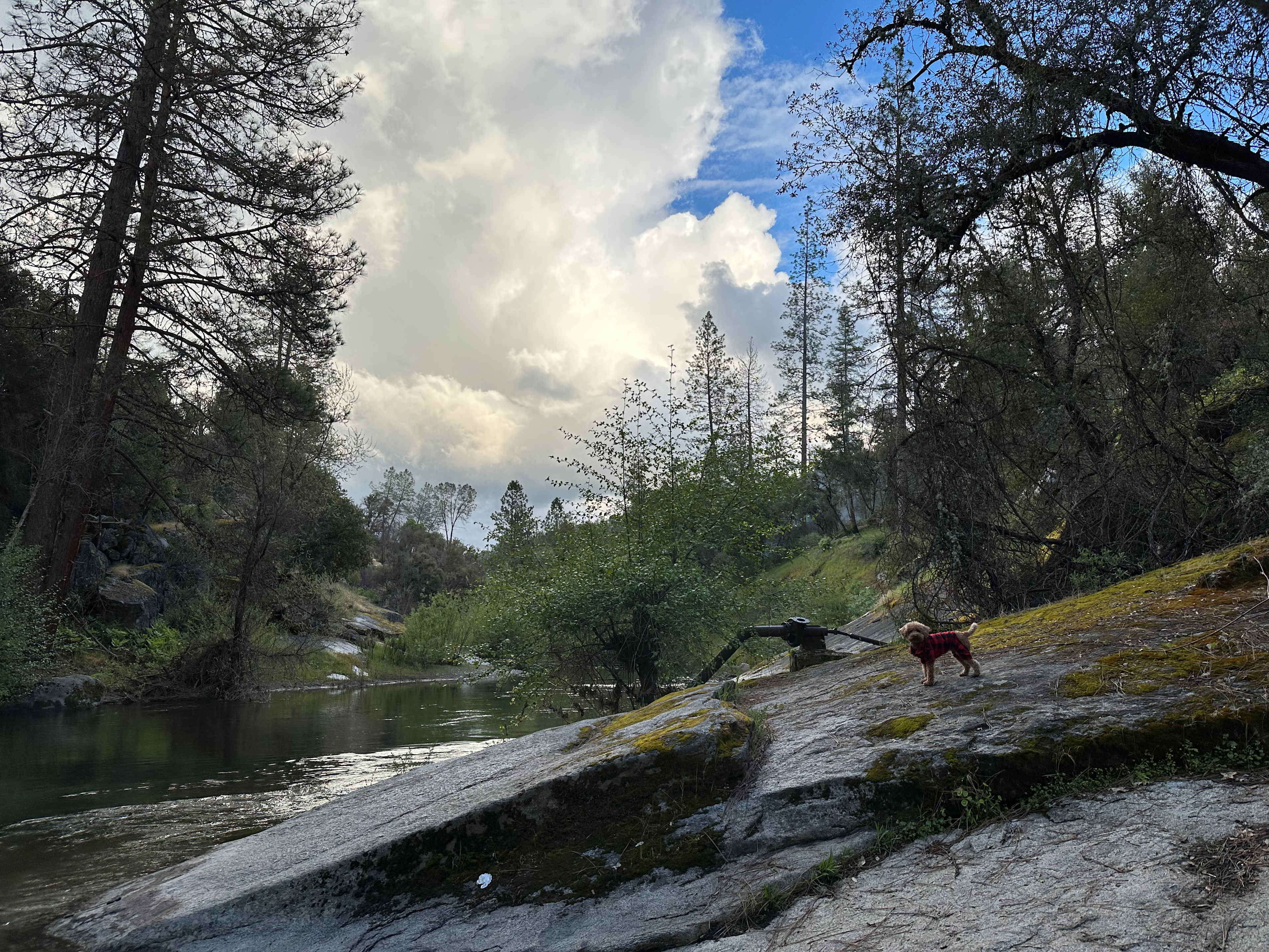 Cosumnes River Somerset Camp