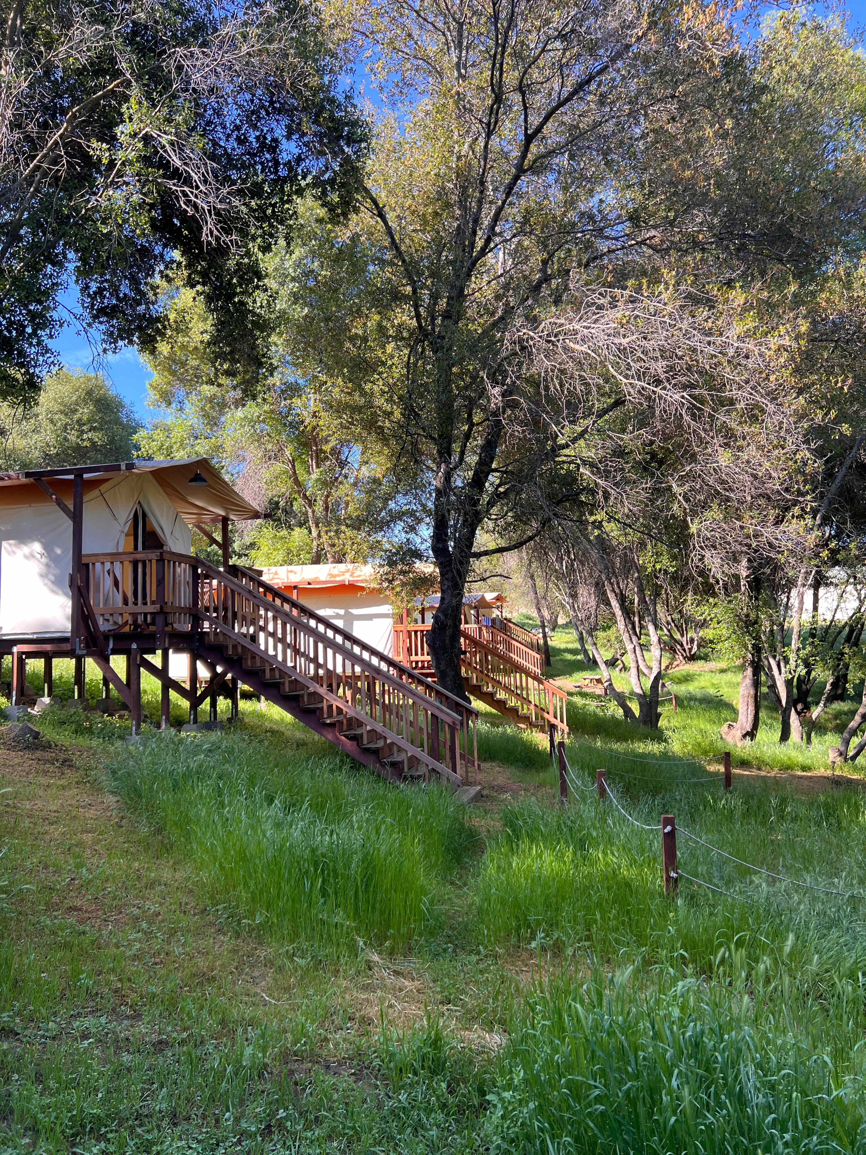 Wildhaven Yosemite Glamping